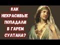 Как некрасивые и больные женщины попадали в гарем султана?