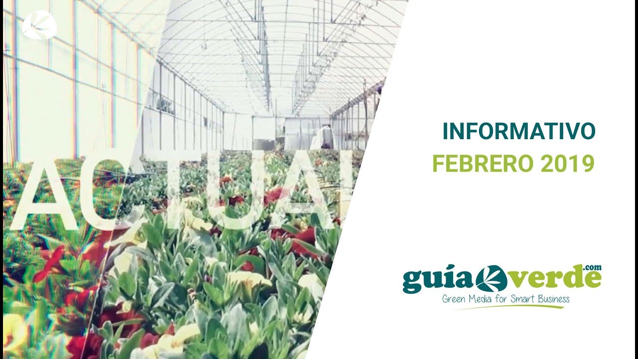 Informativo GuíaVerde febrero 2019 