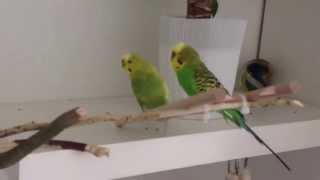 Just A Test With The Youtube Capture App