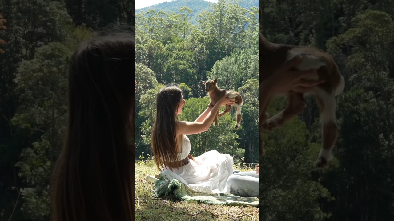 3 years living in the rainforest 🌿🌻🐐 Some moments from our latest video 