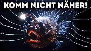Gruseliges Paarungsritual von Tiefsee-Monster