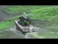Chicago River dyed green for St. Patrick's Day