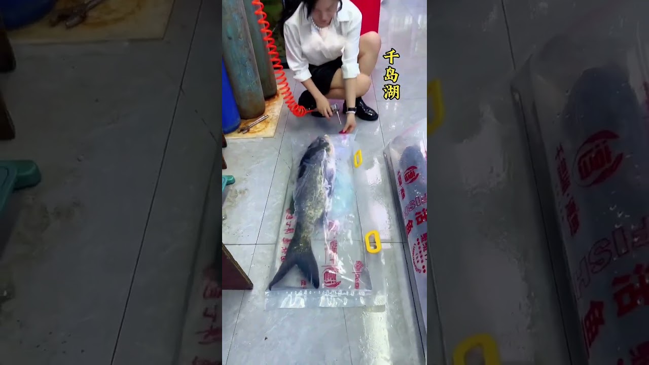 Live Fish Packing Hacks You Should Know.