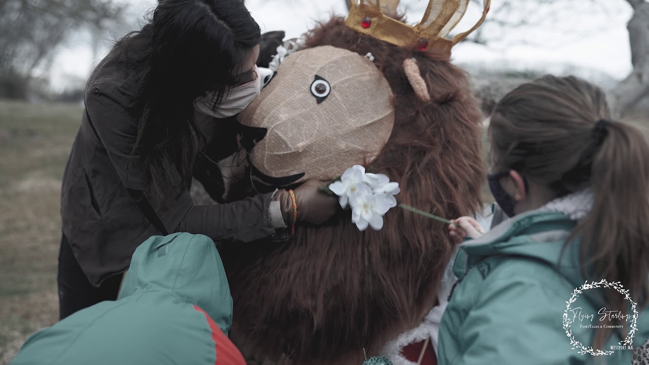 Flying Starling Inc, Public Nonprofit Charity