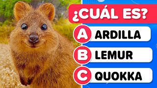 Guess the Animal from the PICTURE 🦁🐊😱 - Difficult Level 2 | Zoology test | General Culture Trivia screenshot 2