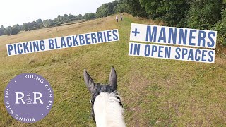 Blackberry Picking on Horseback + Manners in Canter | GoPro Hack Out With Me | Riding With Rhi