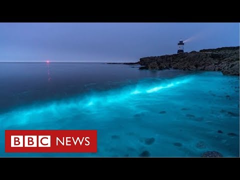 Vídeo: Passeios De Barco Nas Baías Bioluminescentes De Porto Rico