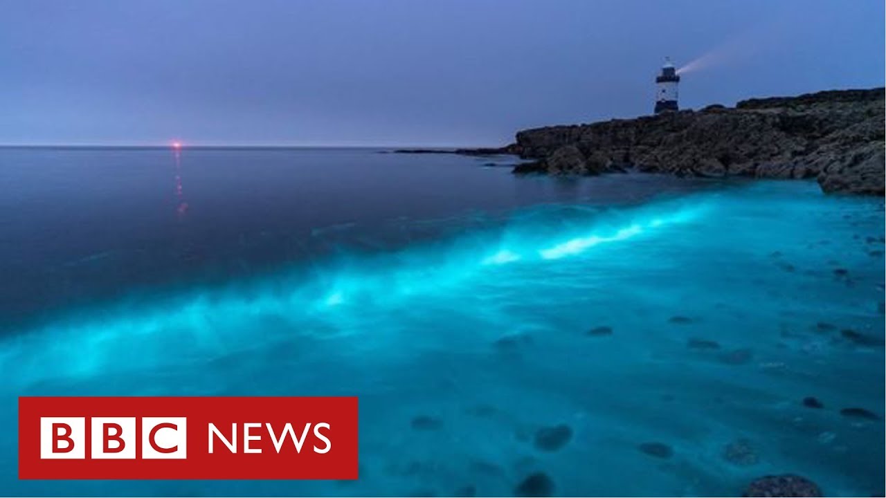 A Marinha identificou que a luz alaranjada no mar de Maceió é semelhante a  sinalizadores. - ZéNewsAi