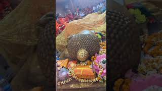ព្រះពុទ្ធទ្រង់បរិនិព្វានគួរសង្វេកណាសណាស់ចំពោះសង្ខារសត្វលោក#🌹🌹🙏####