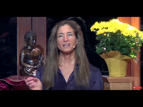 Tara Talks: Releasing Self-Aversion