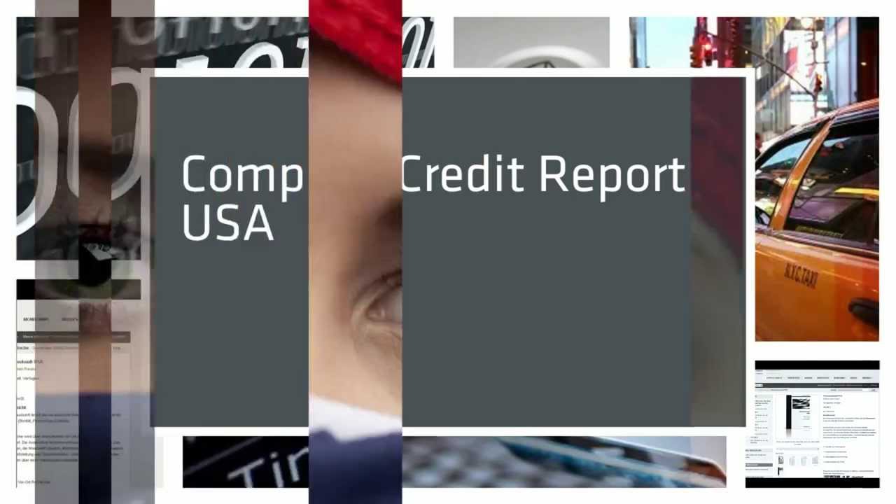 USA - North America - Company Credit Report & Background Information