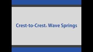 Famous Smalley Crest-to-Crest Wave Springs Net Worth