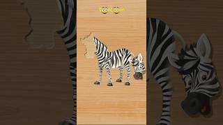 كليب الأشكال بدون ايقاع Marah Tv - قناة مرح