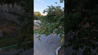 3 Metrelik Tripodla Nevşehirin Saklı Bereketi