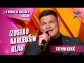 IZOSTAO KARLEUŠIN GLAS! Stefan Cekić – A nekad je dolazila stalno (PINKOVE ZVEZDE)