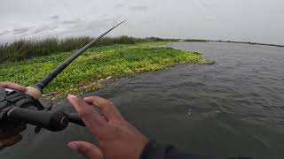 BassHole Tournament on CA Delta ! (EXTREME CONDITIONS)
