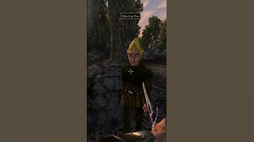 Killing the adoring fan in Morrowind every day until Skywind and Skyblivion are released Day - 331
