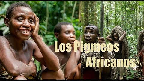 Los Pigmeos Africanos un Pueblo Conocido Por su Baja Estatura | TeofiloMediaTV