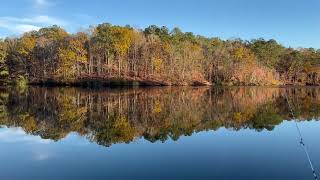 Lake Harding, Georgia