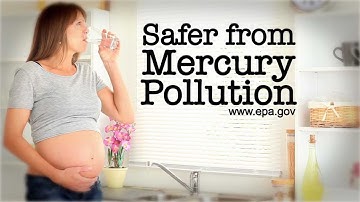 Victory on Mercury Pollution:  Dream Big!