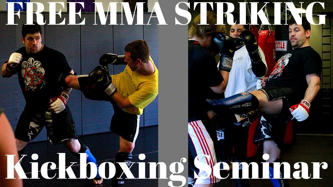 Best MMA & Catch Wrestling Seminar 1 Part 1 Striking Kickboxing!