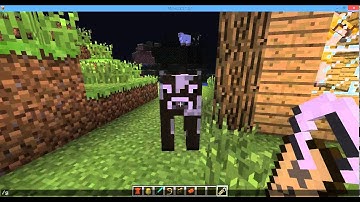 How to use name tags in minecraft 1.6.1