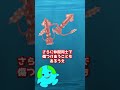 人間が養殖できなかった生物【イカ】#shorts #生物 #動物