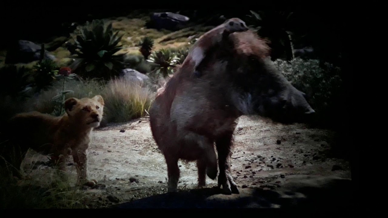 El rey leon 2019 Hakuna matata Audio latino El rey leon 2019 Hakuna matata Audio latino