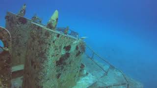 Mike’s Reef and The Wreck Rosa by Jim Ryan 69 views 4 years ago 10 minutes, 38 seconds
