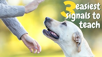 Hand Signals for Dog Training