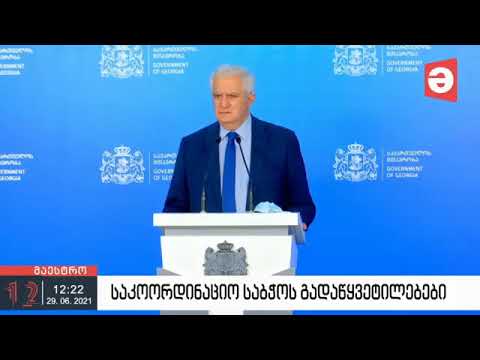 ამირან გამყრელიძზე, საკოორდინაციო საბჭოს წევრების ბრიფინგი 29.06.2021