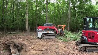 Tricky Backyard Clearing And Mulching Project