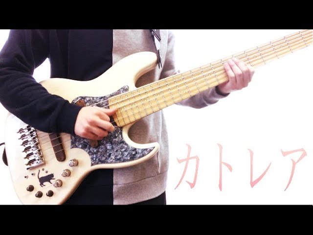 カトレア ヨルシカ ベースカバー Youtube カトレア ヨルシカ ベースカバー Youtube