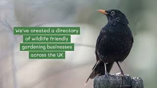 Introducing... the Wildlife Garden Directory! by The Wildlife Garden Project 186 views 1 month ago 34 seconds