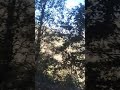 LATEST VIDEO UTTARAKHAND TRIP Dwarikhal TO SILOGI PAURI GARHWAL VIDEO BY PARRI JHILDIYAL LATEST VIDEO UTTARAKHAND TRIP Dwarikhal TO SILOGI PAURI GARHWAL VIDEO BY PARRI JHILDIYAL