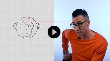 Rage machine: how social media algorithms are changing our behaviour | Darius Pocha