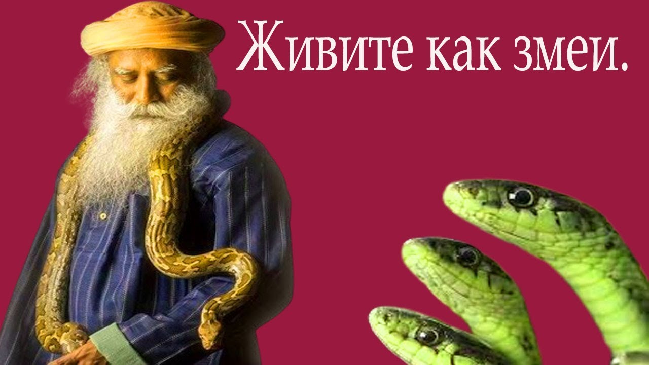 Позвольте всему происходить-Садхгуру#мудрость #садхгуру #sadhguru #змеи ...