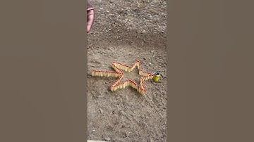 Matchstick Amazing Cracker experiment | Diwali cracker testing 2023&2024 🔥😀#shorts #crackers