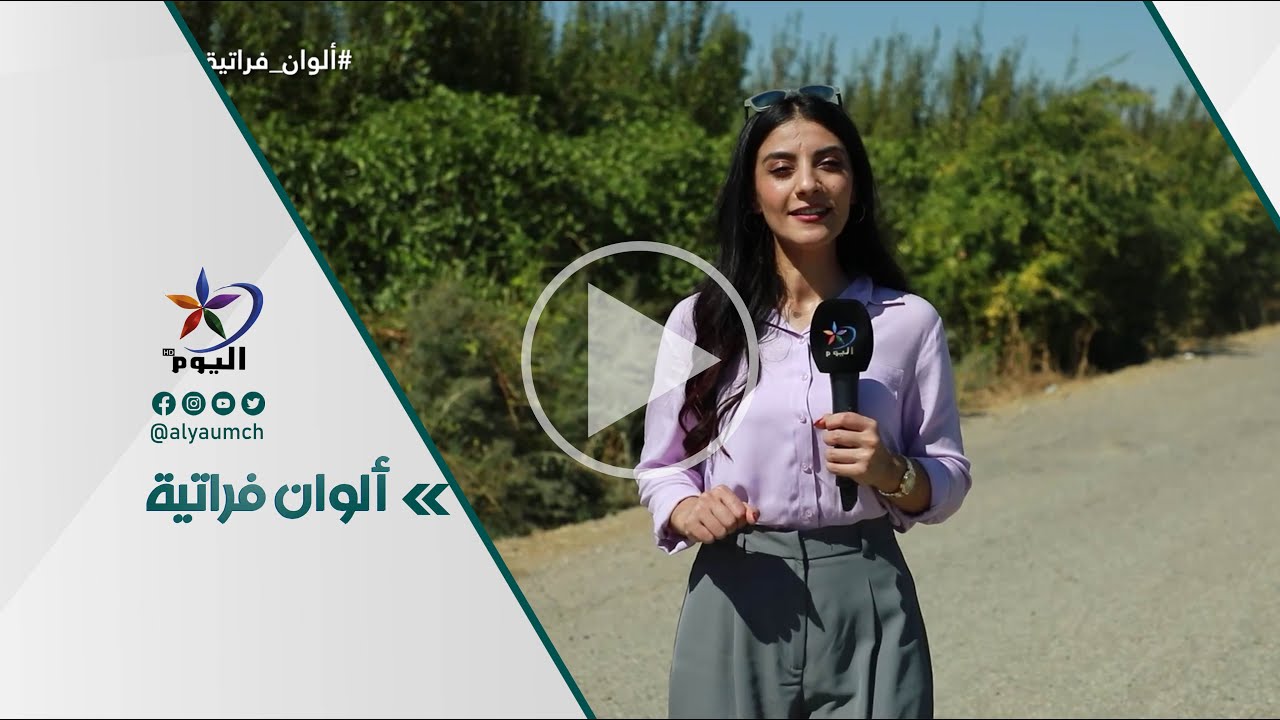 قرية_المحوكية   15-10-2024