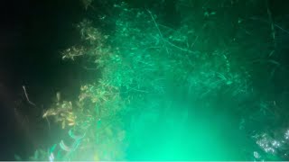 Download Lagu January 23, 2026 Idiot running in the fog wrecks boat Wear your life vest 😉 MP3