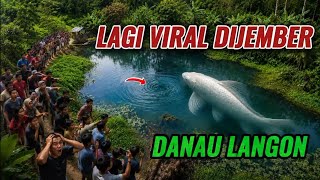 VIRAL!! A HIDDEN LAKE IN JEMBER IS IN THE SPOTLIGHT OF NETIZENS