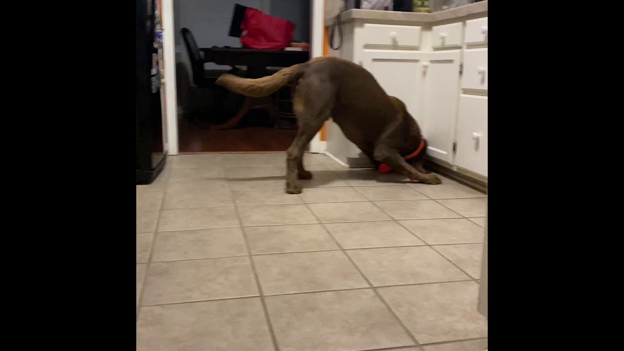 Fun Inside - YouTube