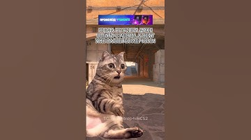 И причем всегда так 😥 #cs2 #cs2funny #cs2clips #cs2moments #cs2memes #кс2 #кс2мемы #knifex