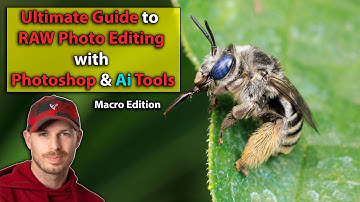 A Guide to RAW Photo Editing with Photoshop and Ai Tools | Topaz Denoise Ai | Luminar Neo | Macro