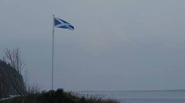 Flag blowing in very strong wind - simulation reference