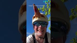 The Science Of Magpie Swooping One Cyclists Mission To Deter Springtime Attacks