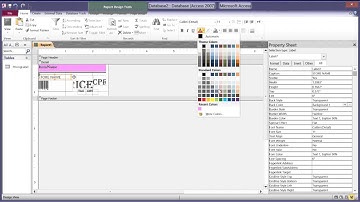 How to Make Shelf Price Labels in Excel and Access