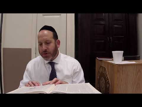 Bechoros 56 with Rabbi Shmuel Silber