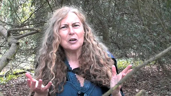 Deborah Winter telling "Bird Song"
