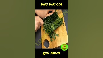 Chữa Đau đầu gối đau các khớp dùng tại nhà chỉ với 1 nắm ngải cứu  #short #shorts